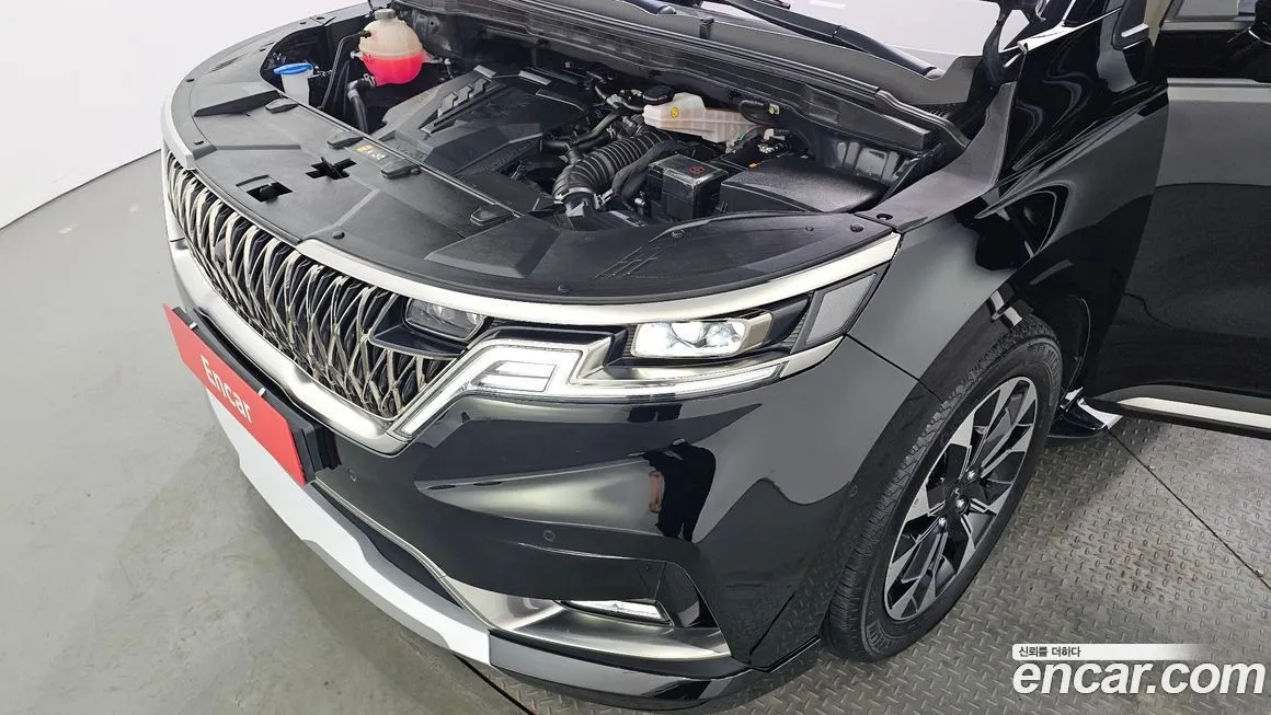 Kia Carnival — фото 10