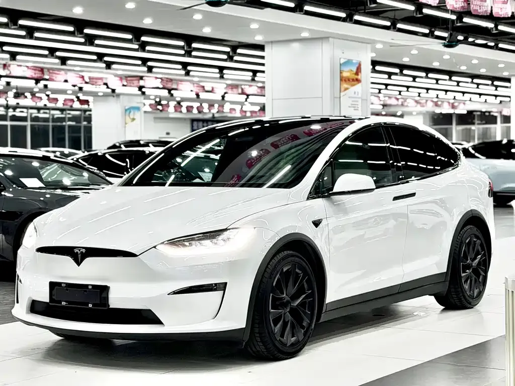 Tesla Model X — фото 1