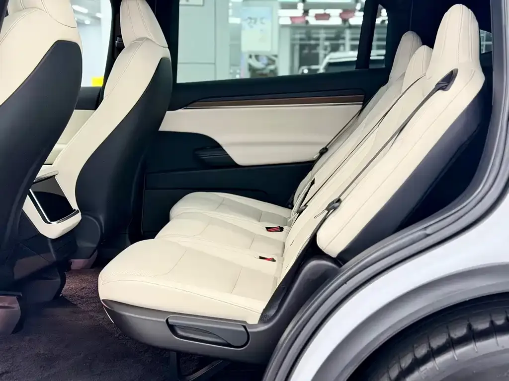 Tesla Model X — фото 9