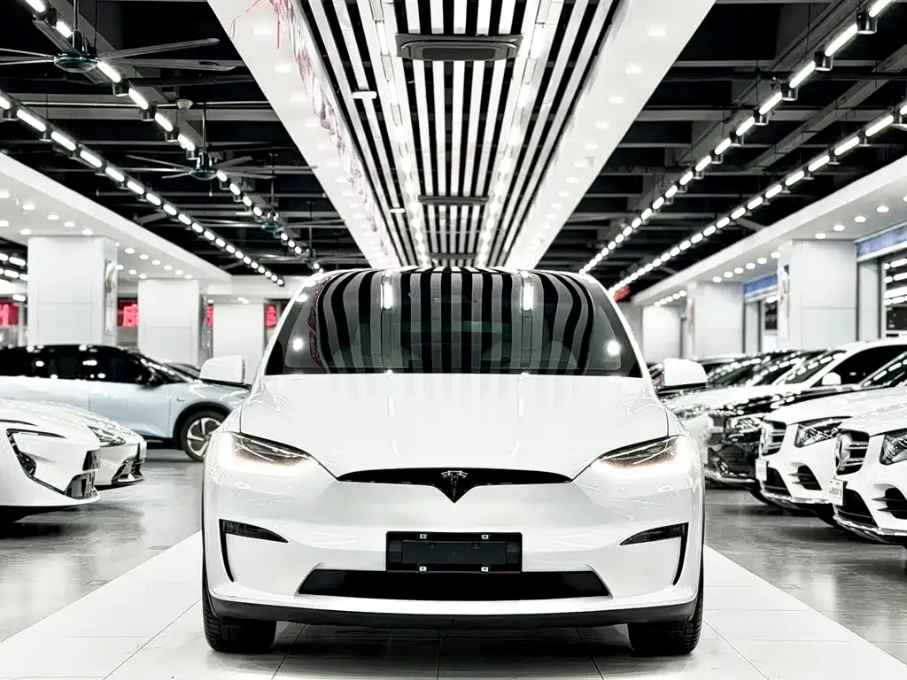Tesla Model X — фото 5