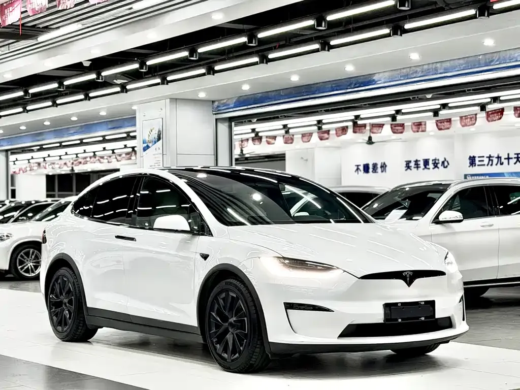 Tesla Model X — фото 10