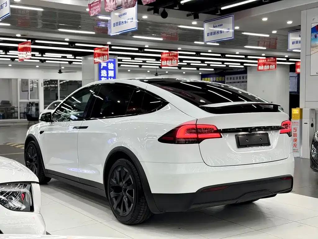 Tesla Model X — фото 4