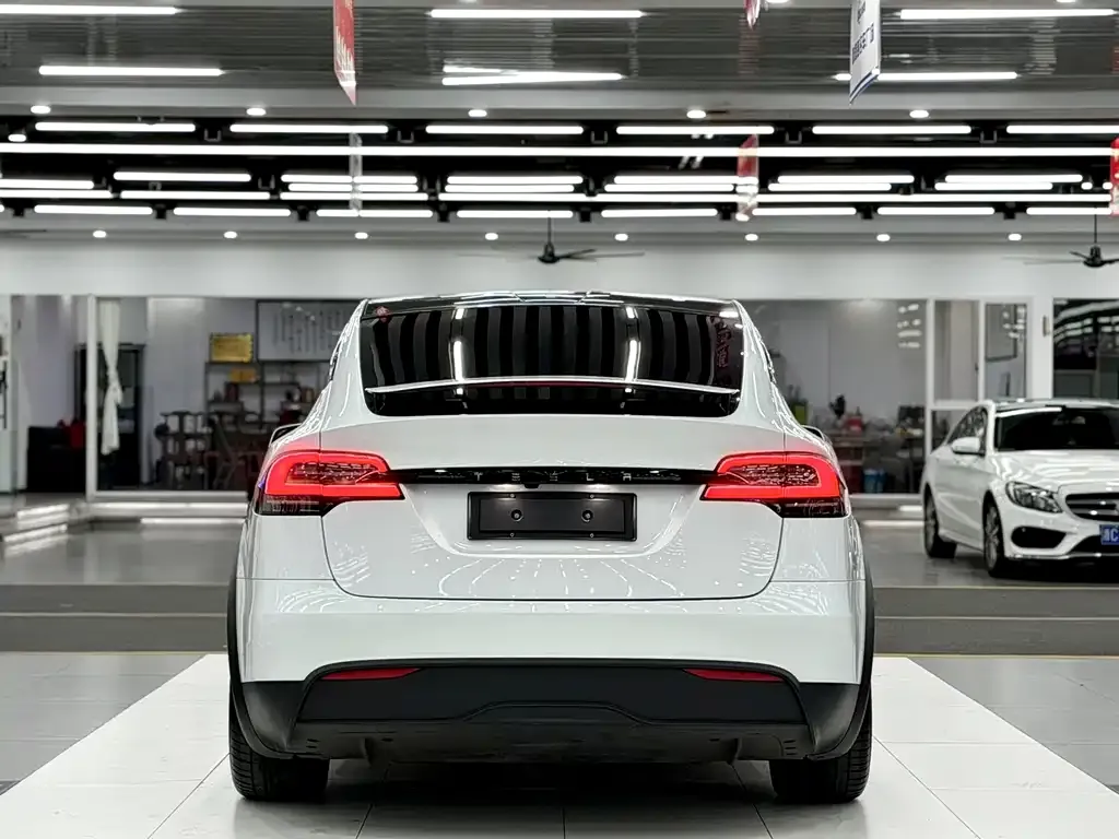 Tesla Model X — фото 8