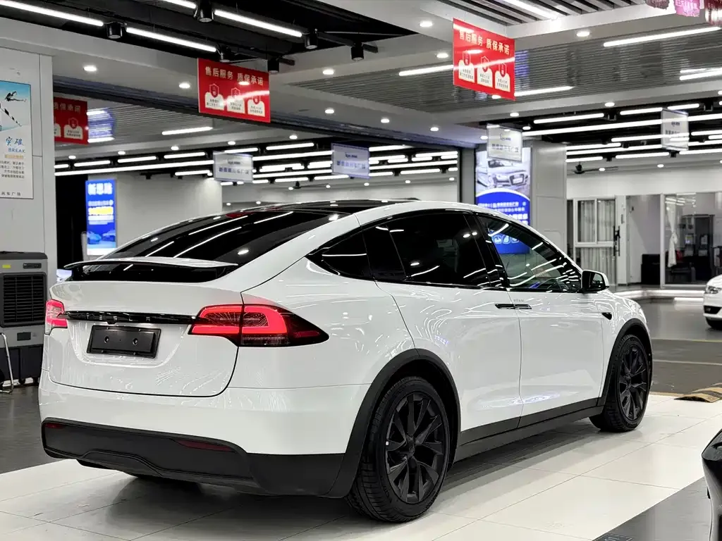 Tesla Model X — фото 6