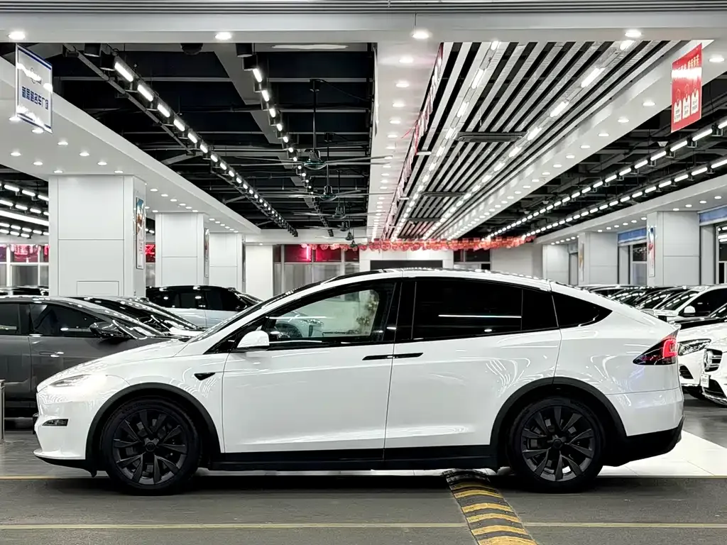 Tesla Model X — фото 3
