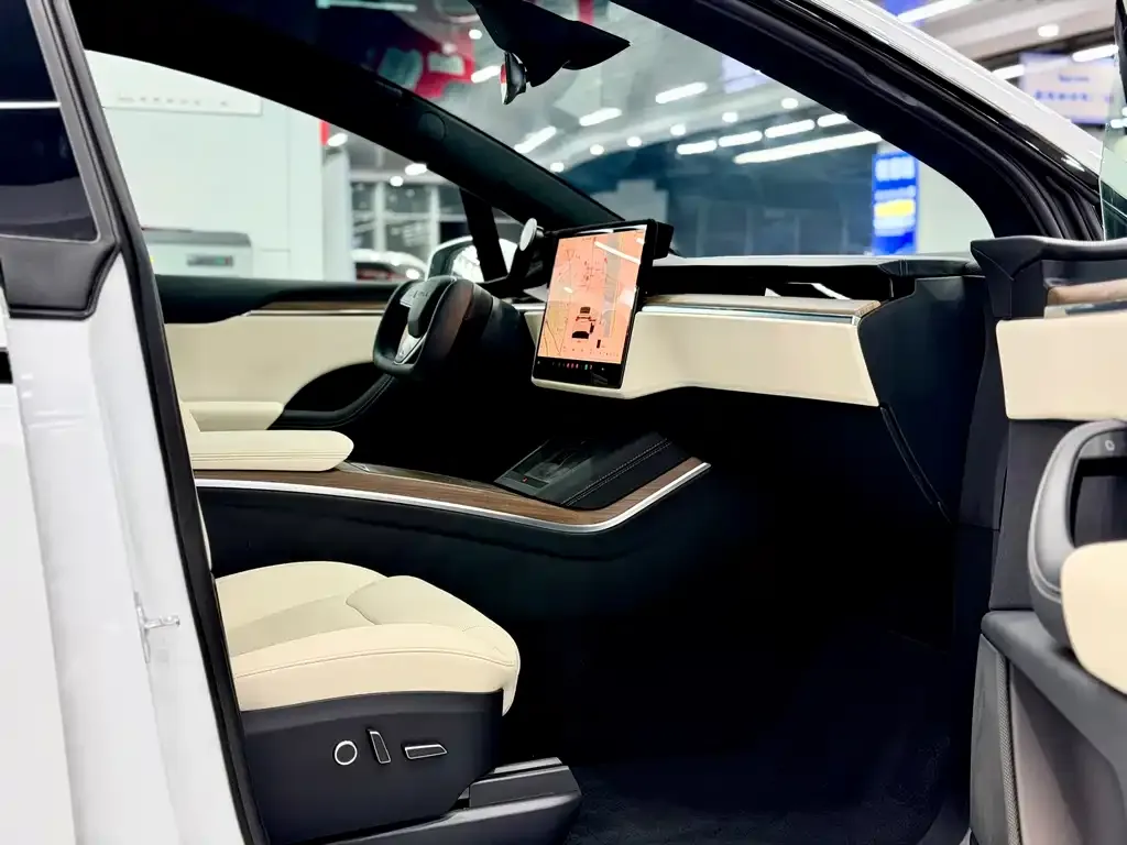 Tesla Model X — фото 2