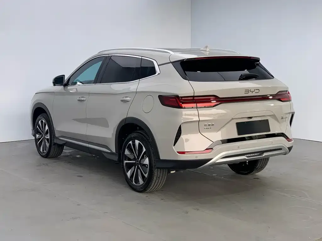 BYD PLUS New Energy — фото 2