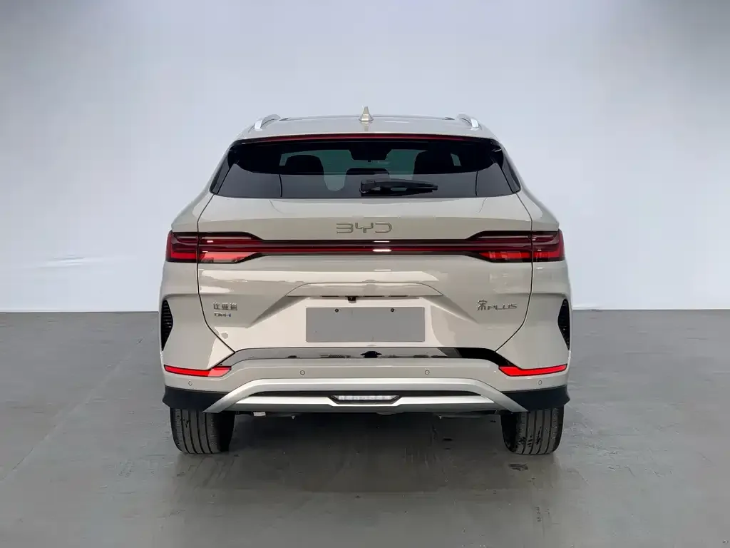 BYD PLUS New Energy — фото 3