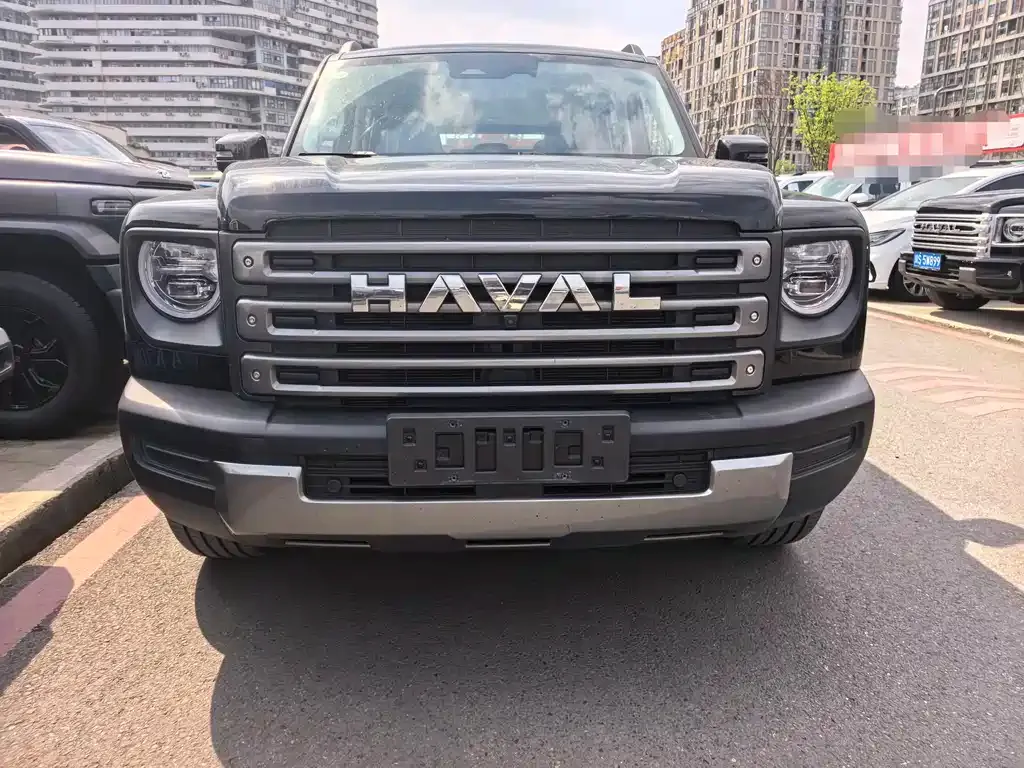 Haval Menglong New Energy — фото 1