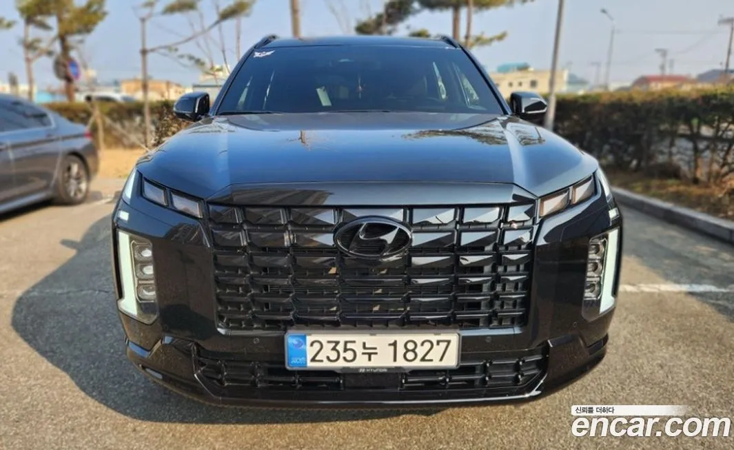 Hyundai Palisade — фото 1