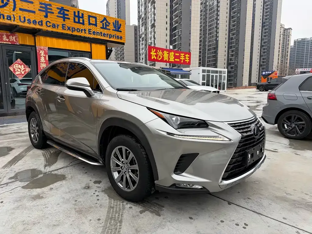 Lexus NX — фото 10
