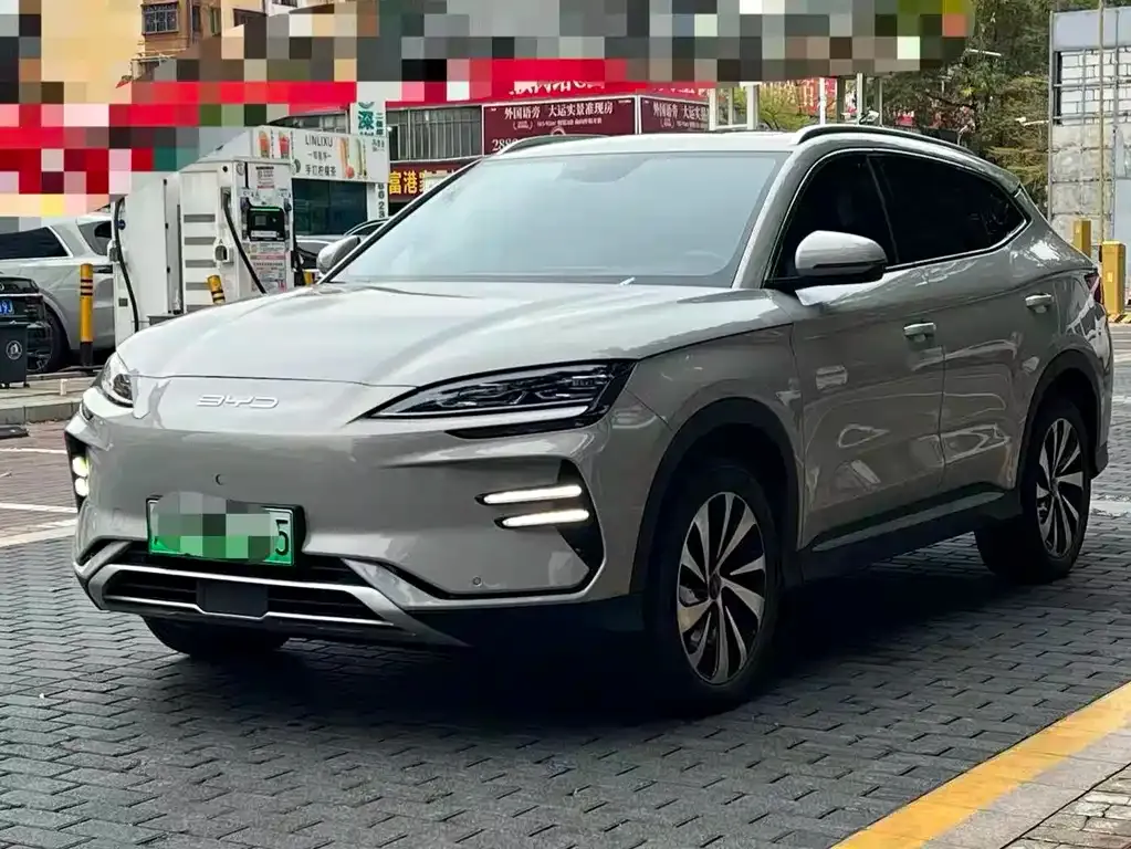 BYD PLUS New Energy — фото 1
