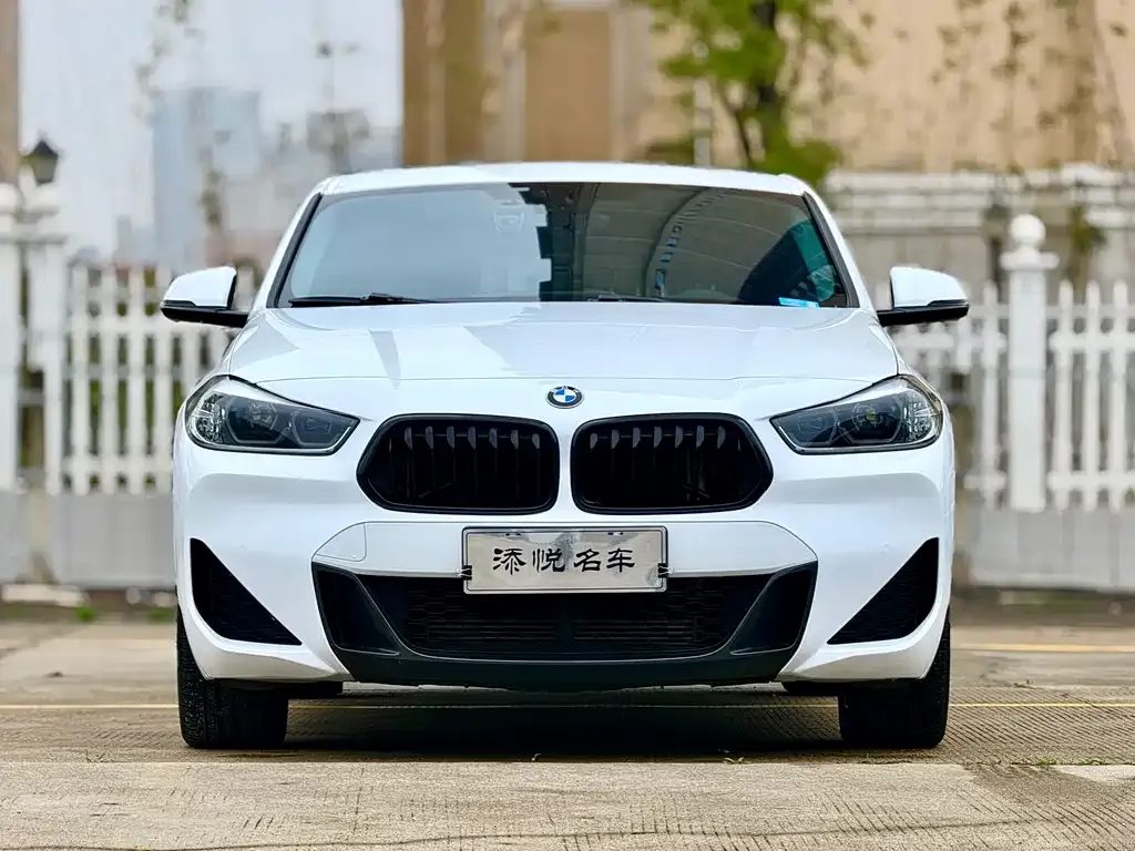BMW X2 — фото 1