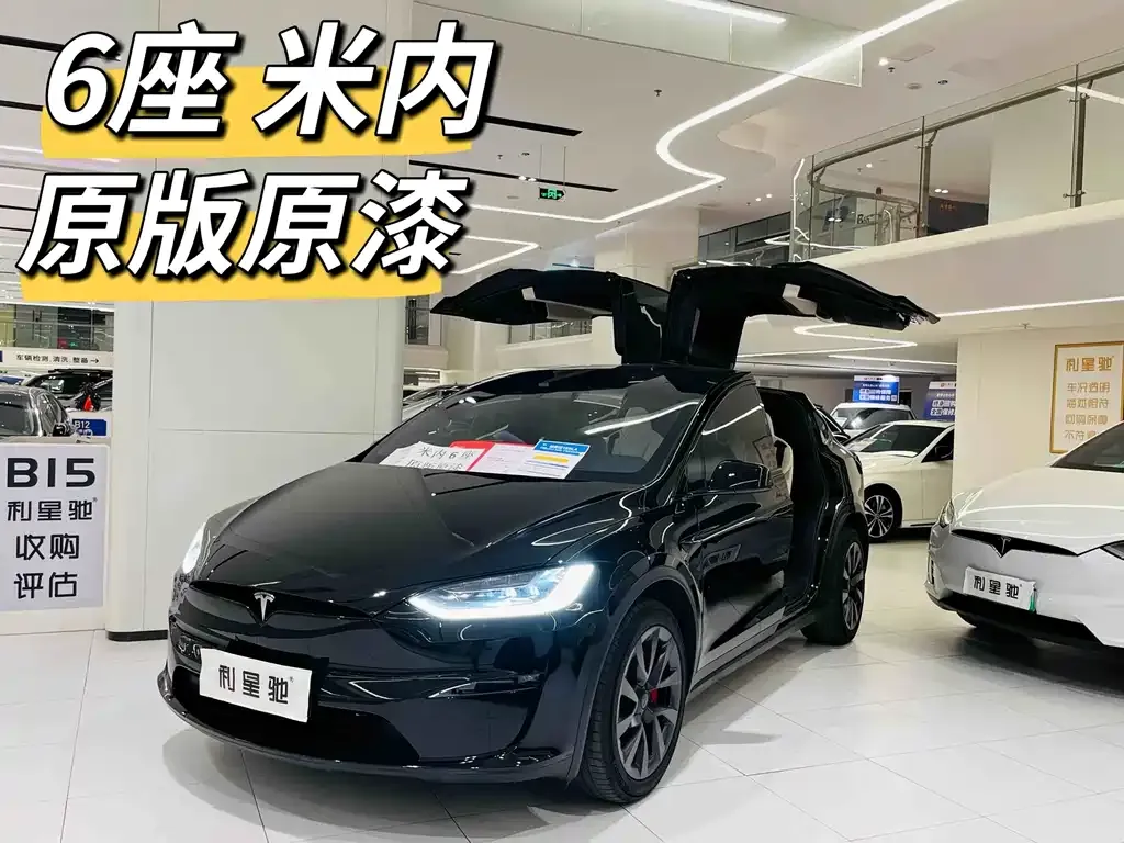 Tesla Model X — фото 1