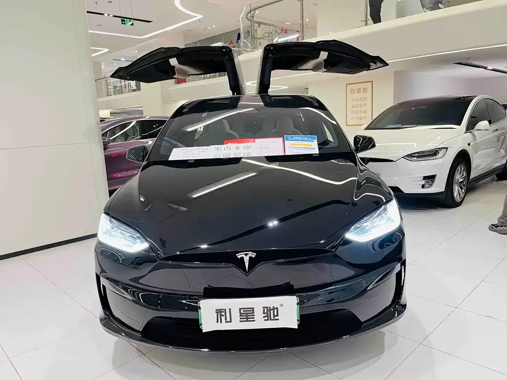 Tesla Model X — фото 10