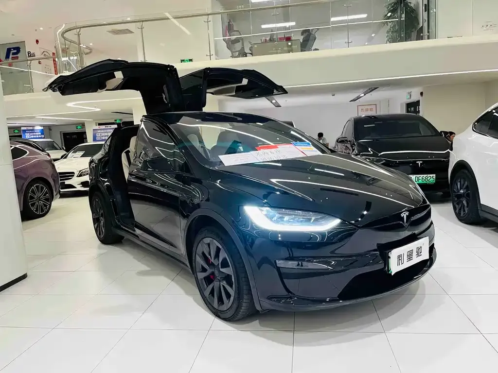 Tesla Model X — фото 9