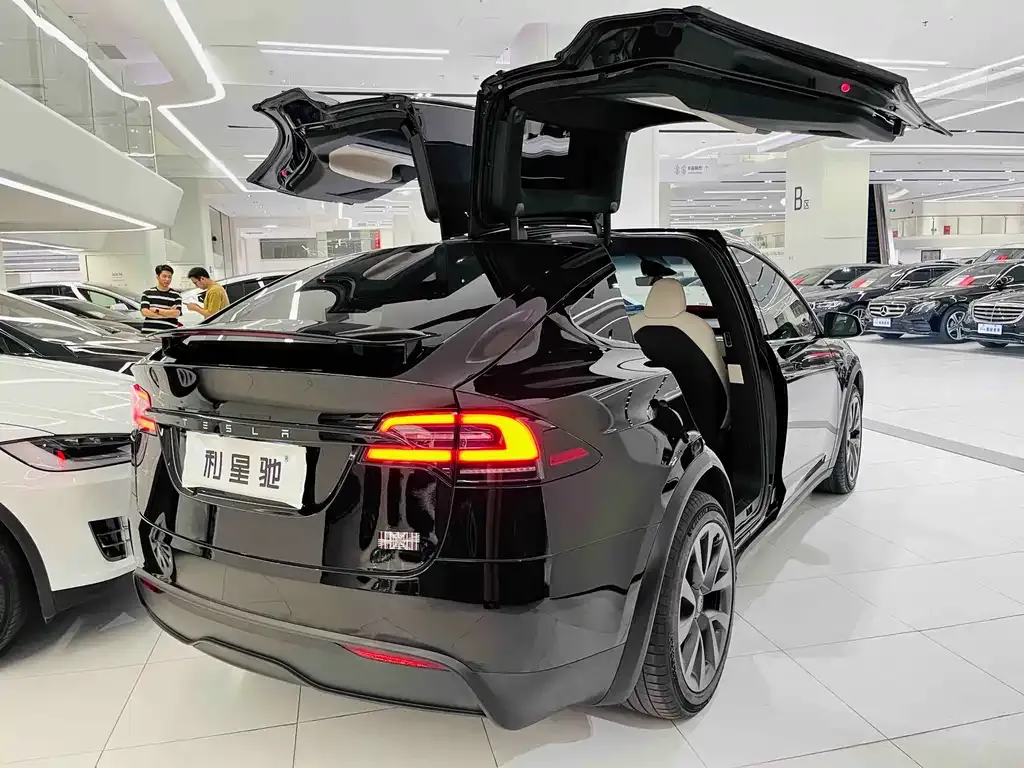 Tesla Model X — фото 8