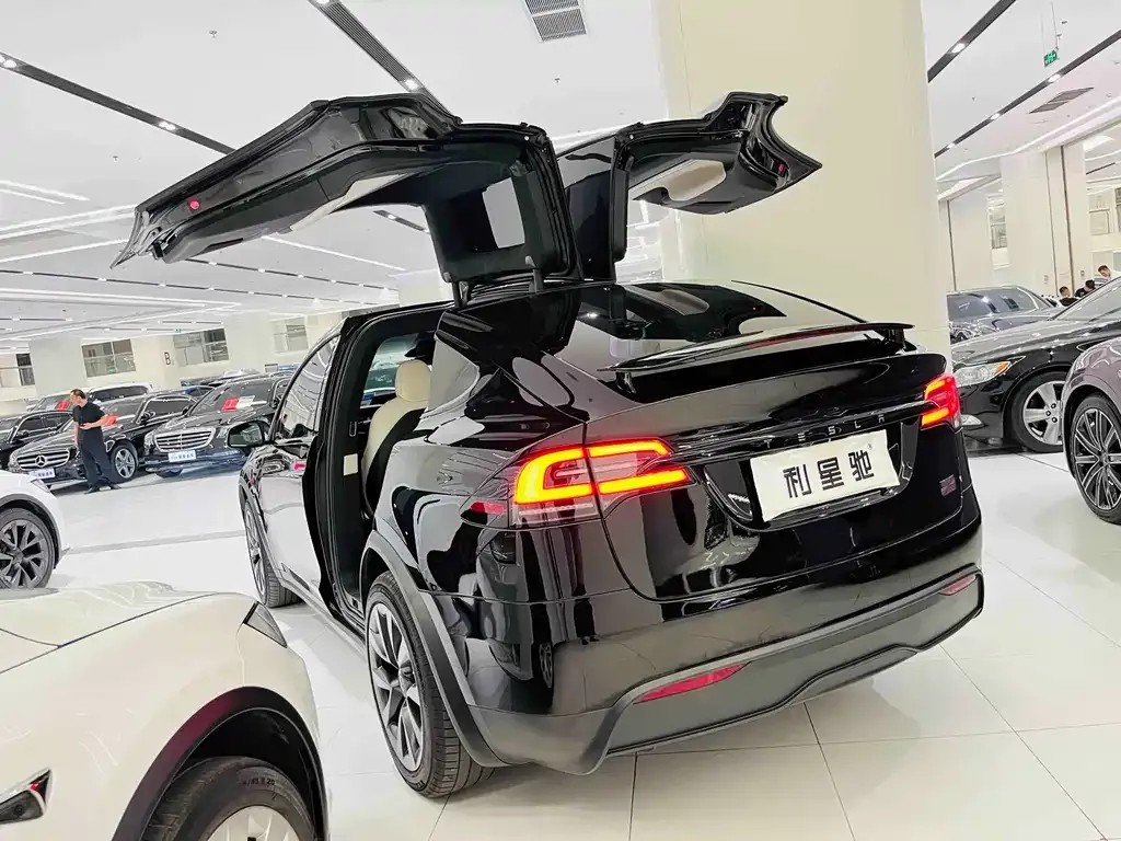Tesla Model X — фото 6