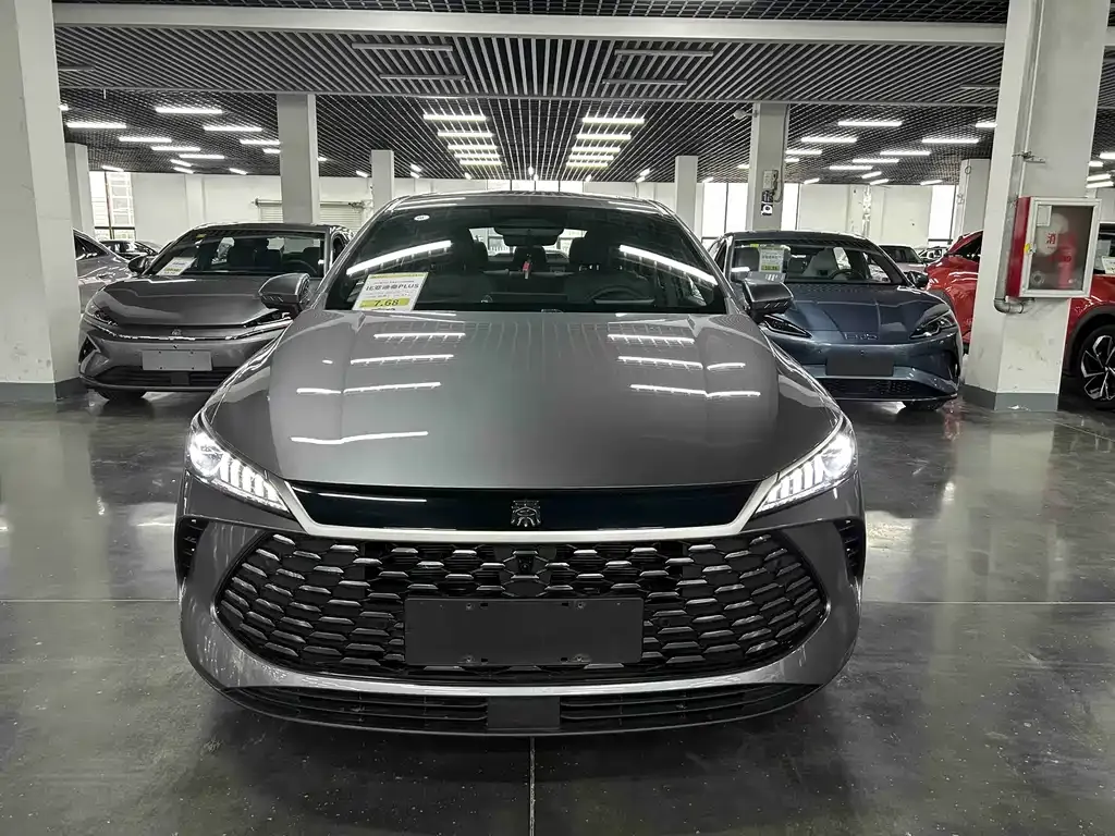 BYD Qin PLUS — фото 2