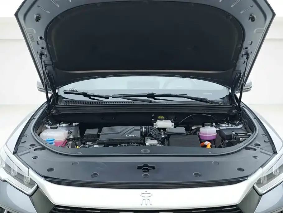 BYD Pro New Energy — фото 9