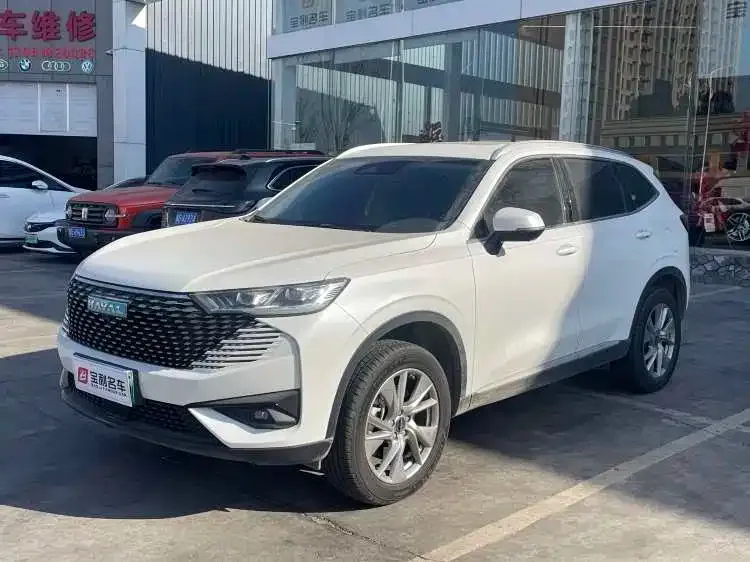 Haval H6 New Energy — фото 8