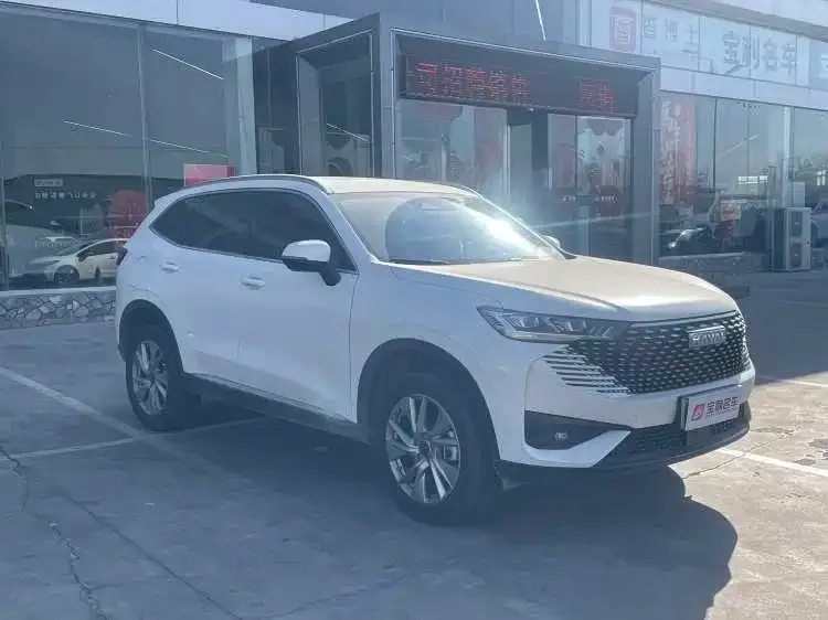 Haval H6 New Energy — фото 2