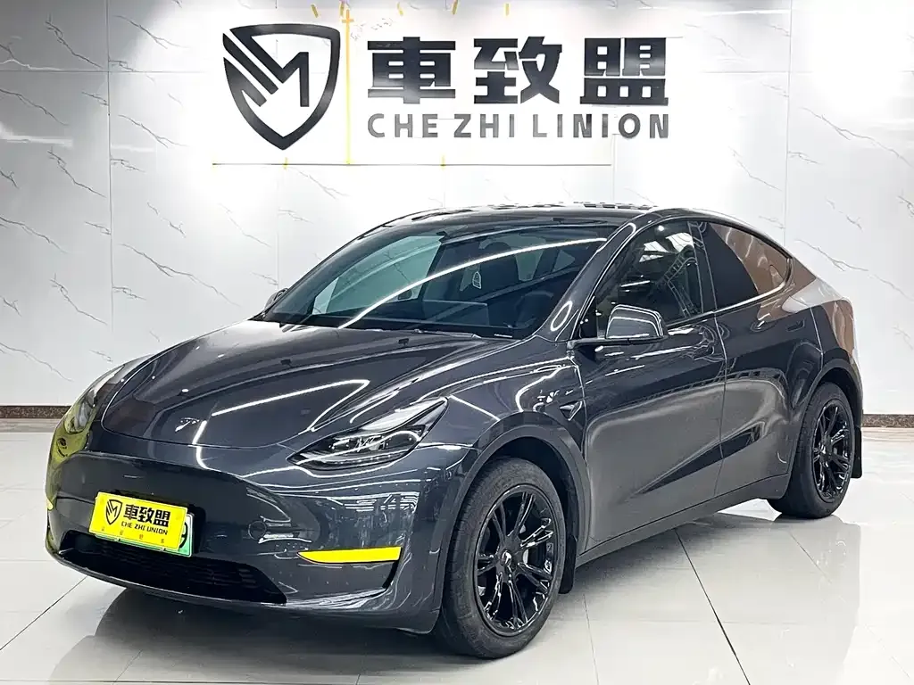 Tesla Model Y — фото 1