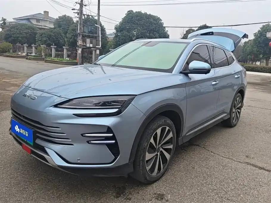 BYD PLUS New Energy — фото 1