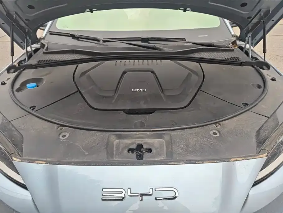 BYD PLUS New Energy — фото 10
