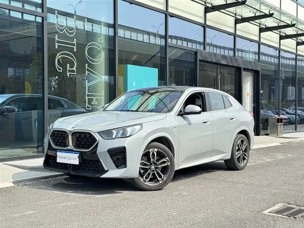 BMW X2 (Import) — фото 1