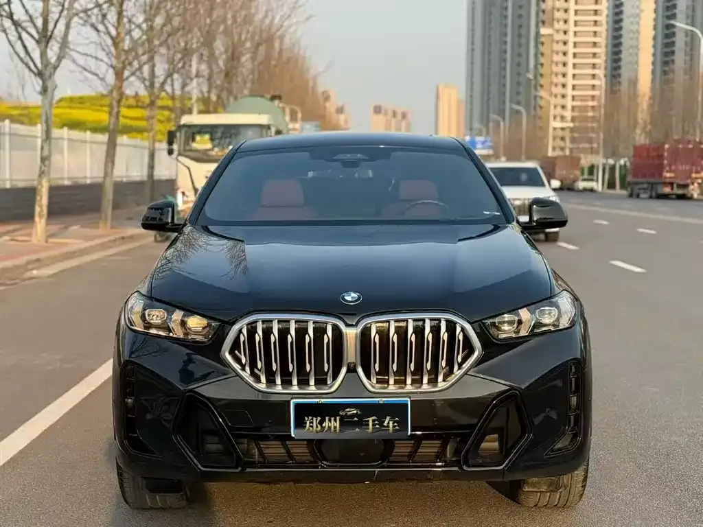 BMW X6 — фото 9
