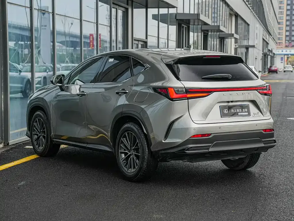 Lexus NX — фото 10