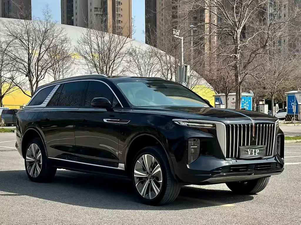 Hongqi E-HS9 — фото 9