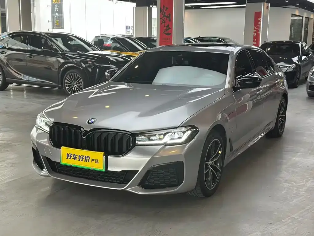 BMW 5 Series New Energy — фото 1