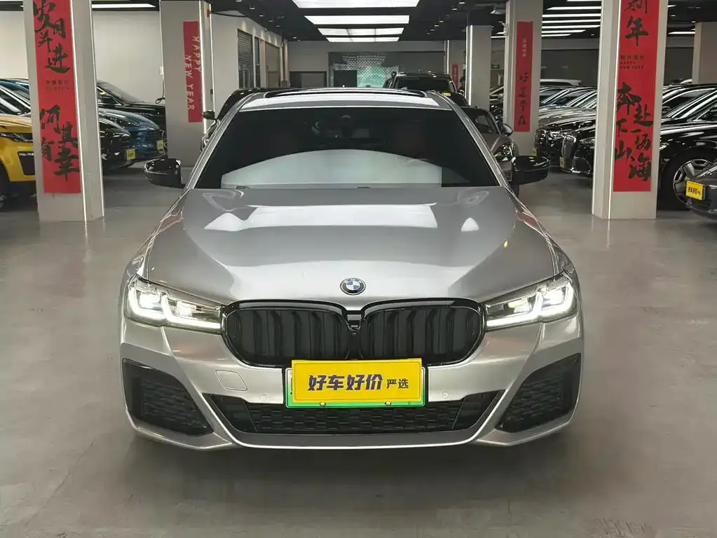 BMW 5 Series New Energy — фото 8