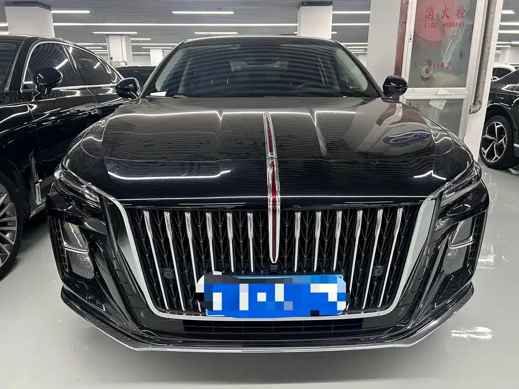 Hongqi H5 — фото 10