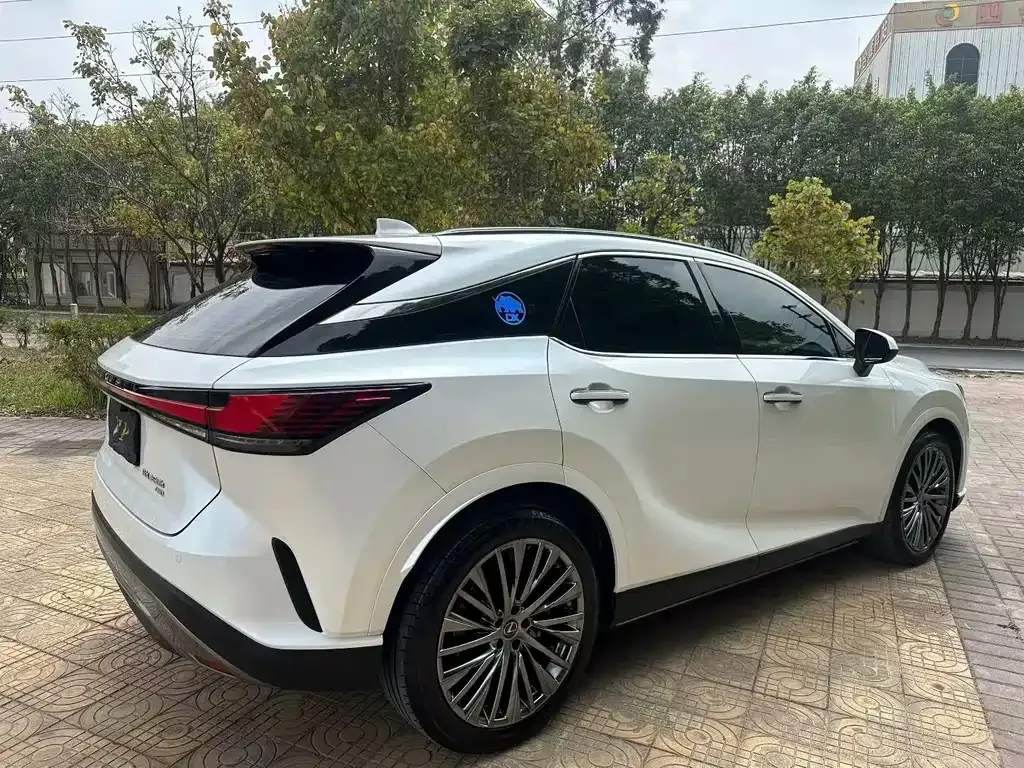 Lexus RX — фото 8