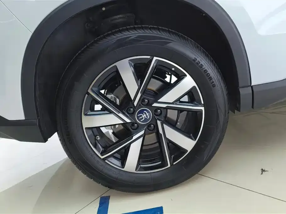BYD Pro New Energy — фото 2