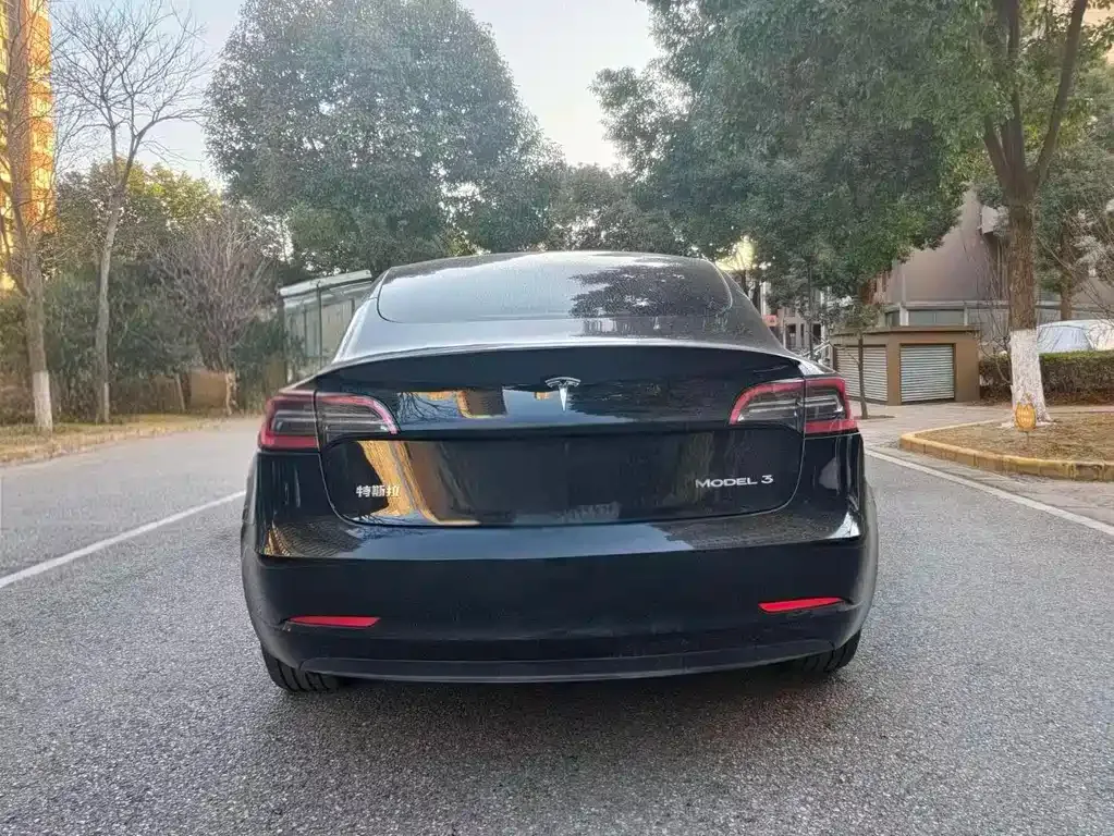 Tesla Model 3 — фото 2