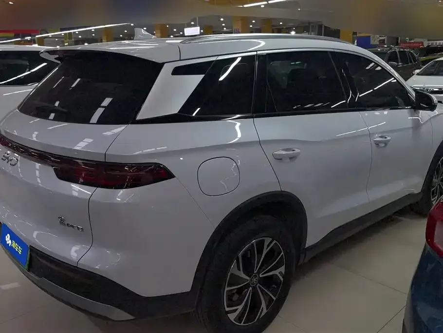 BYD Pro New Energy — фото 2