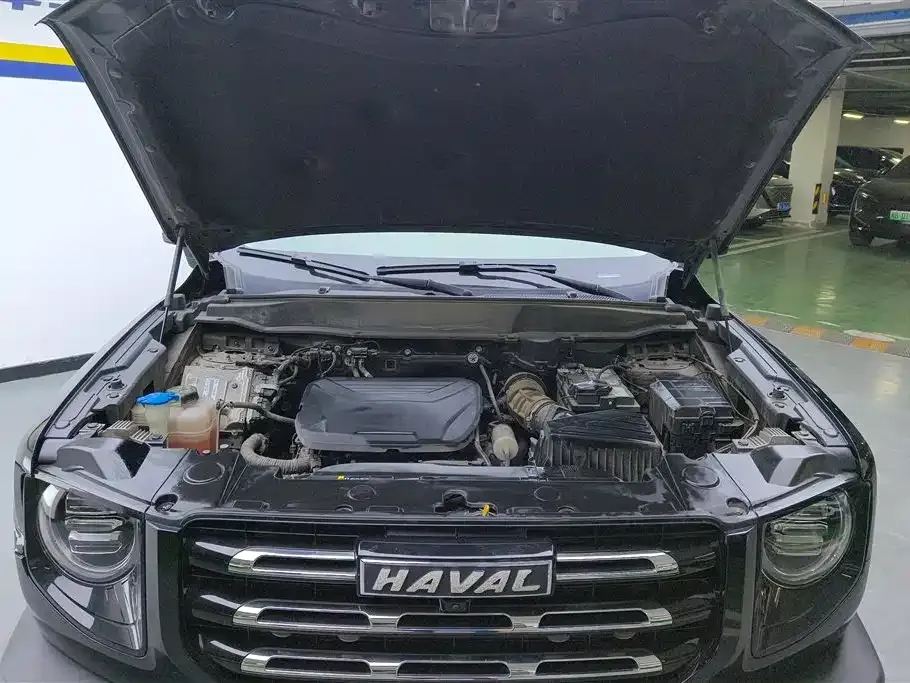 Haval Big Dog — фото 10