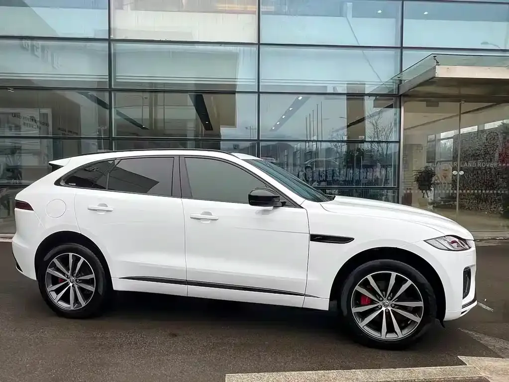 Jaguar F-PACE — фото 9