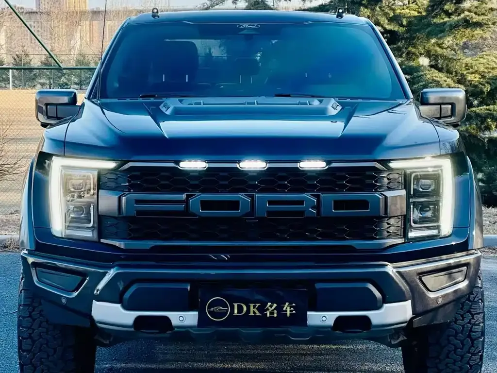 Ford F-150 Raptor — фото 1