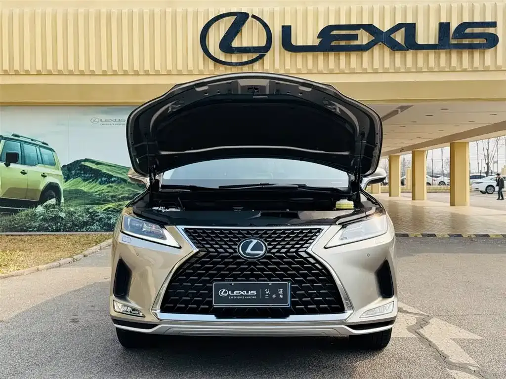 Lexus RX — фото 6