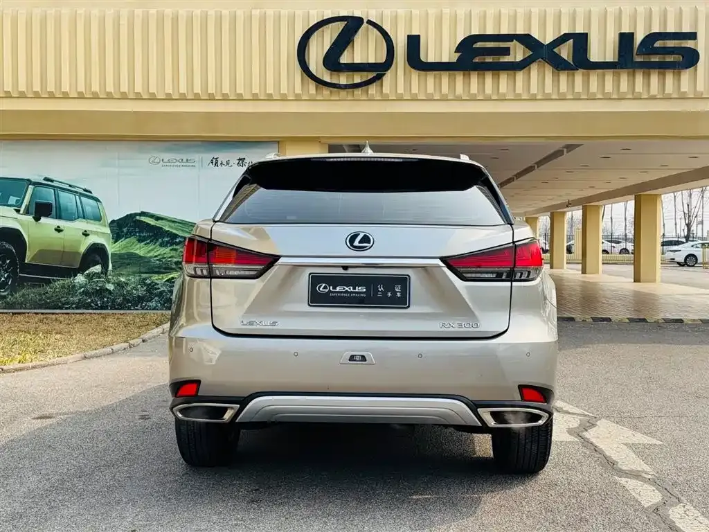 Lexus RX — фото 4