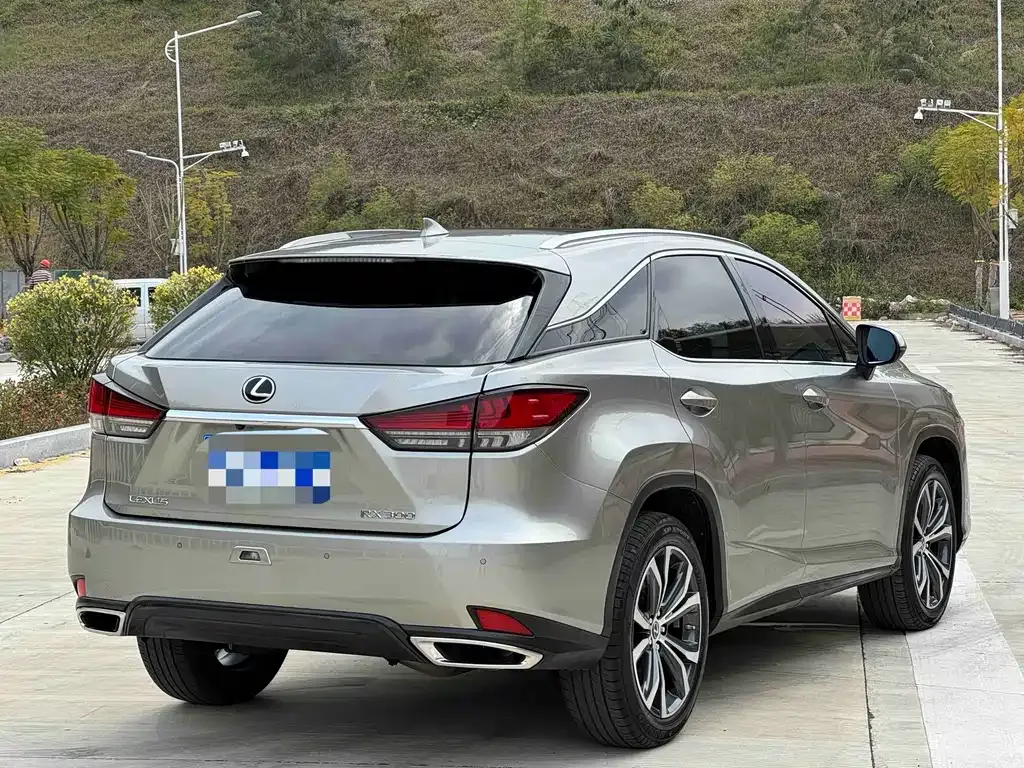 Lexus RX — фото 7