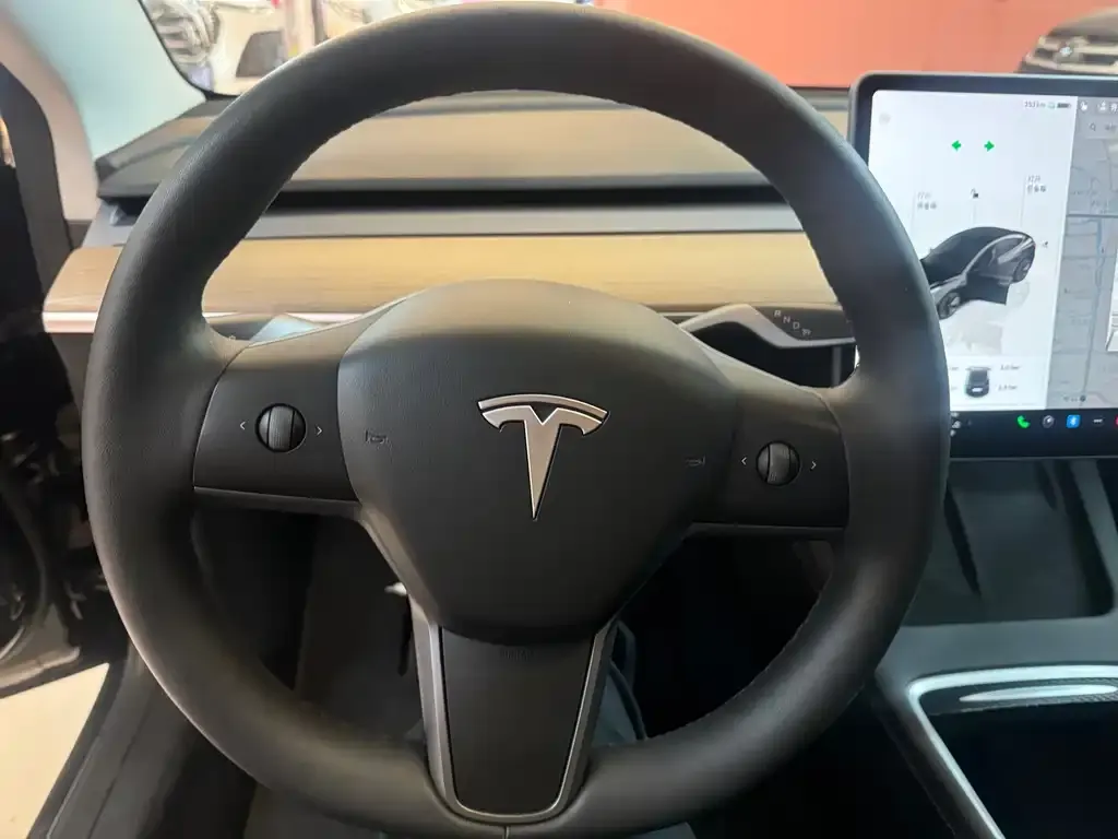 Tesla Model 3 — фото 2