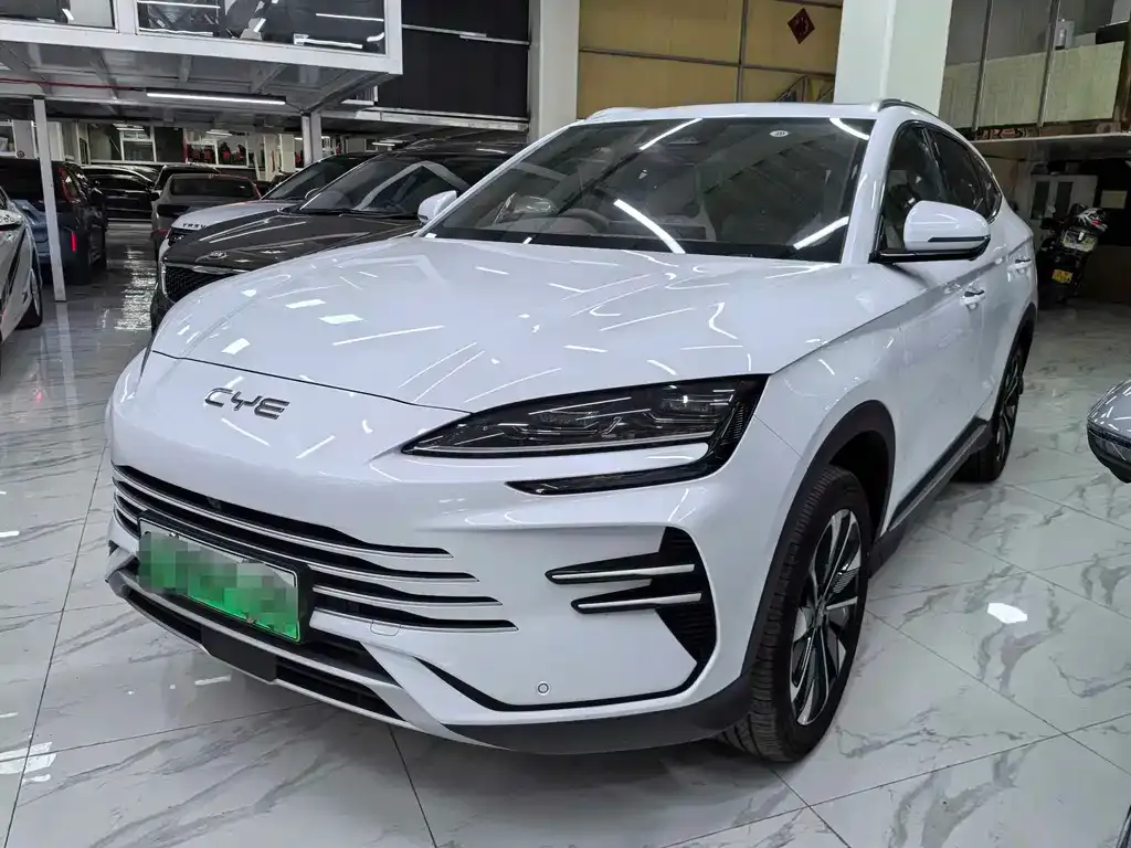 BYD PLUS New Energy — фото 1