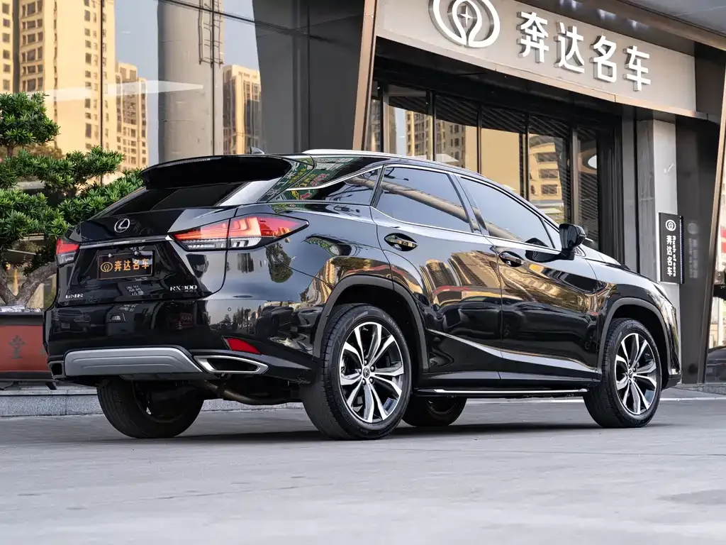Lexus RX — фото 10