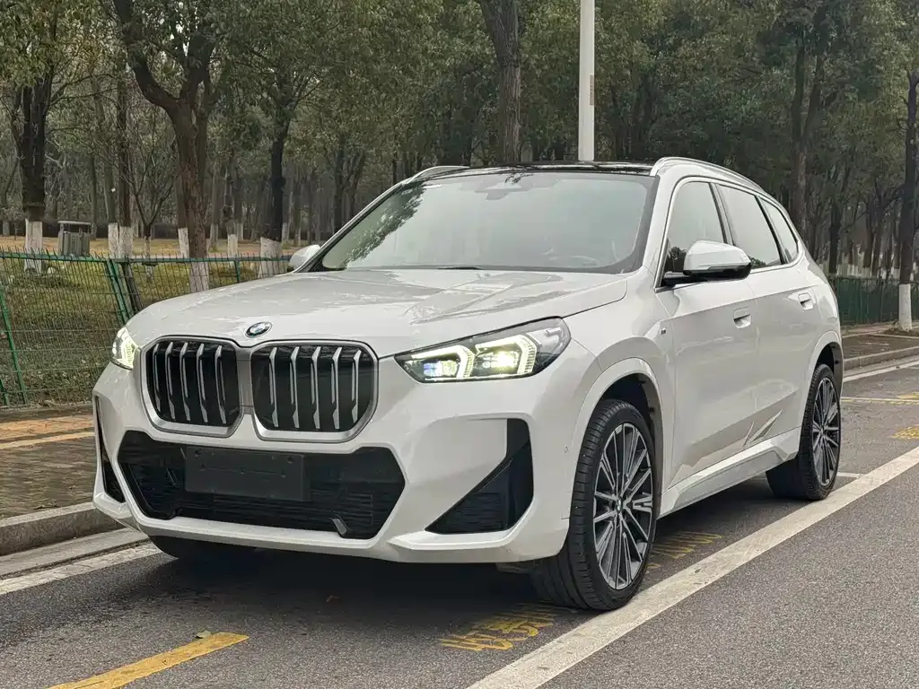 BMW X1 — фото 1